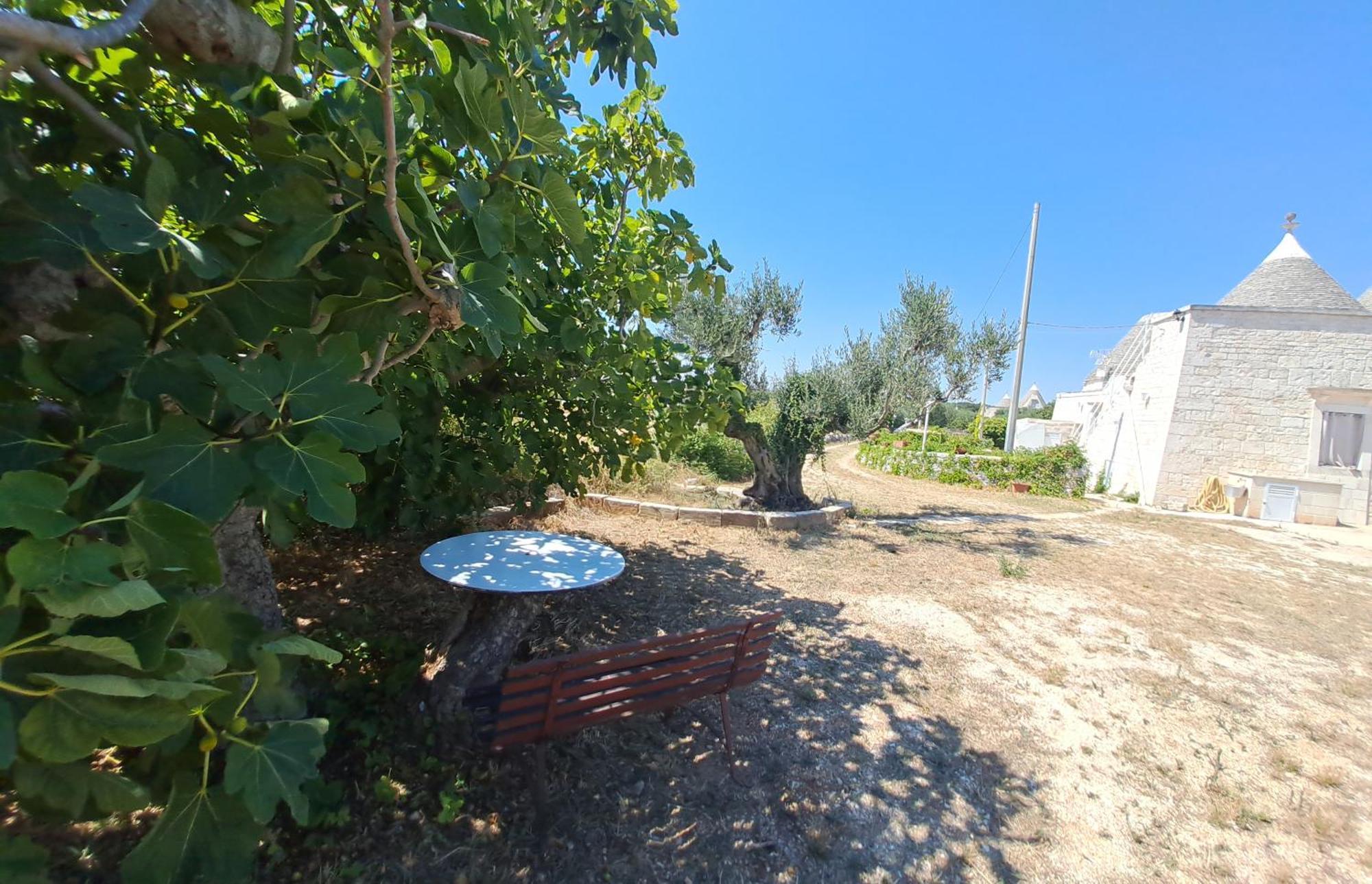 Trulli Carlo Anna Villa Locorotondo Exterior foto