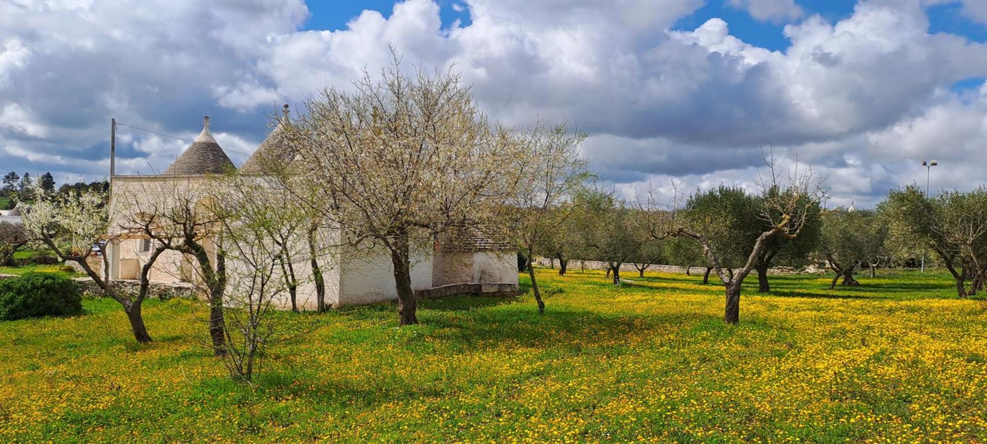 Trulli Carlo Anna Villa Locorotondo Exterior foto